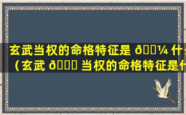 玄武当权的命格特征是 🐼 什么（玄武 🐅 当权的命格特征是什么意思）